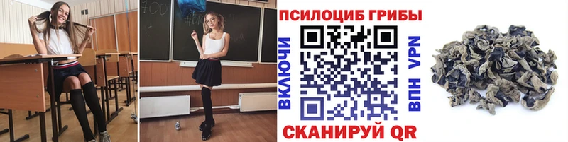 купить наркоту  Армянск  hydra зеркало  Галлюциногенные грибы GOLDEN TEACHER 